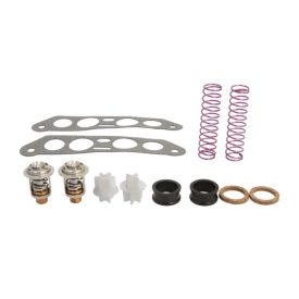   Termosztát tömítéssel Johnson / Evinrude ( 61 °C , 143 °F  ) V4