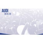 Motor alsó szigetelés rögzítő szett Audi