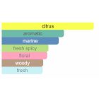 VIP illatosító - Nr. 999  Acqua di Gio Giorgio Armani