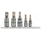 YATO YT04360 Spline bithegy készlet dugófejjel 5 részes (1/4"M5-6, 3/8"M8-10-12)