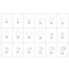 YATO YT06864 Olajteknő rézcsavar és alátét készlet 534 db